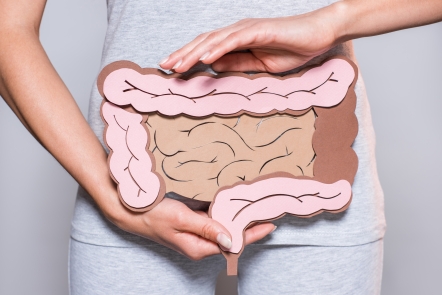 A importância dos probióticos para a saúde intestinal e digestiva